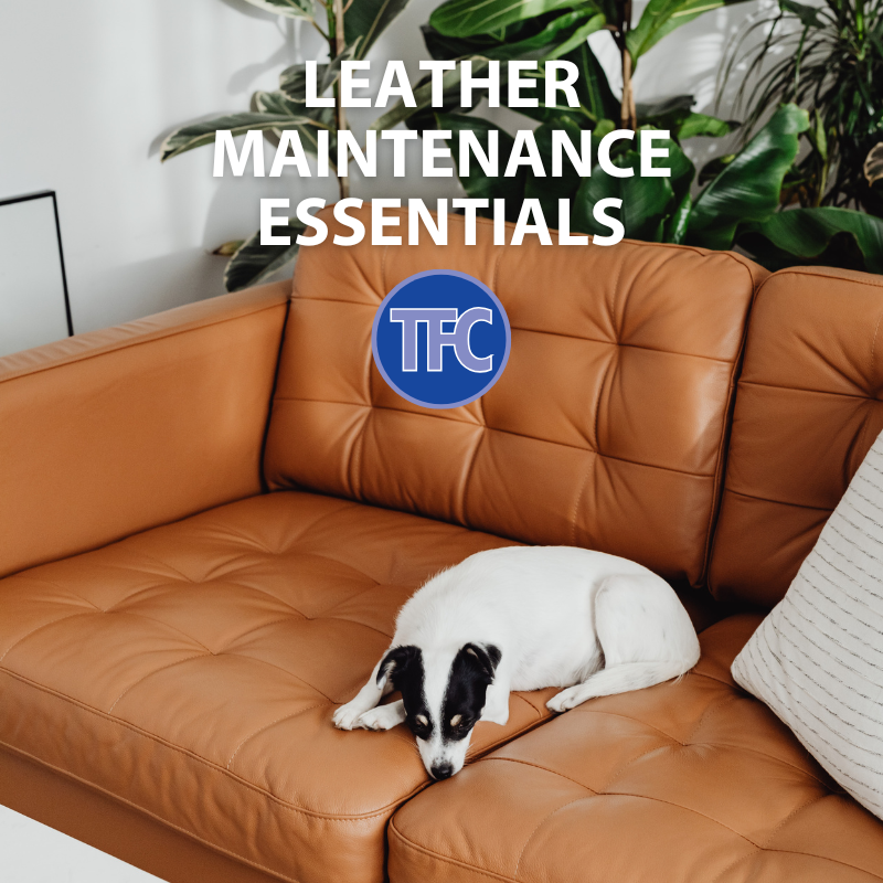Leather Maintenance Essentials